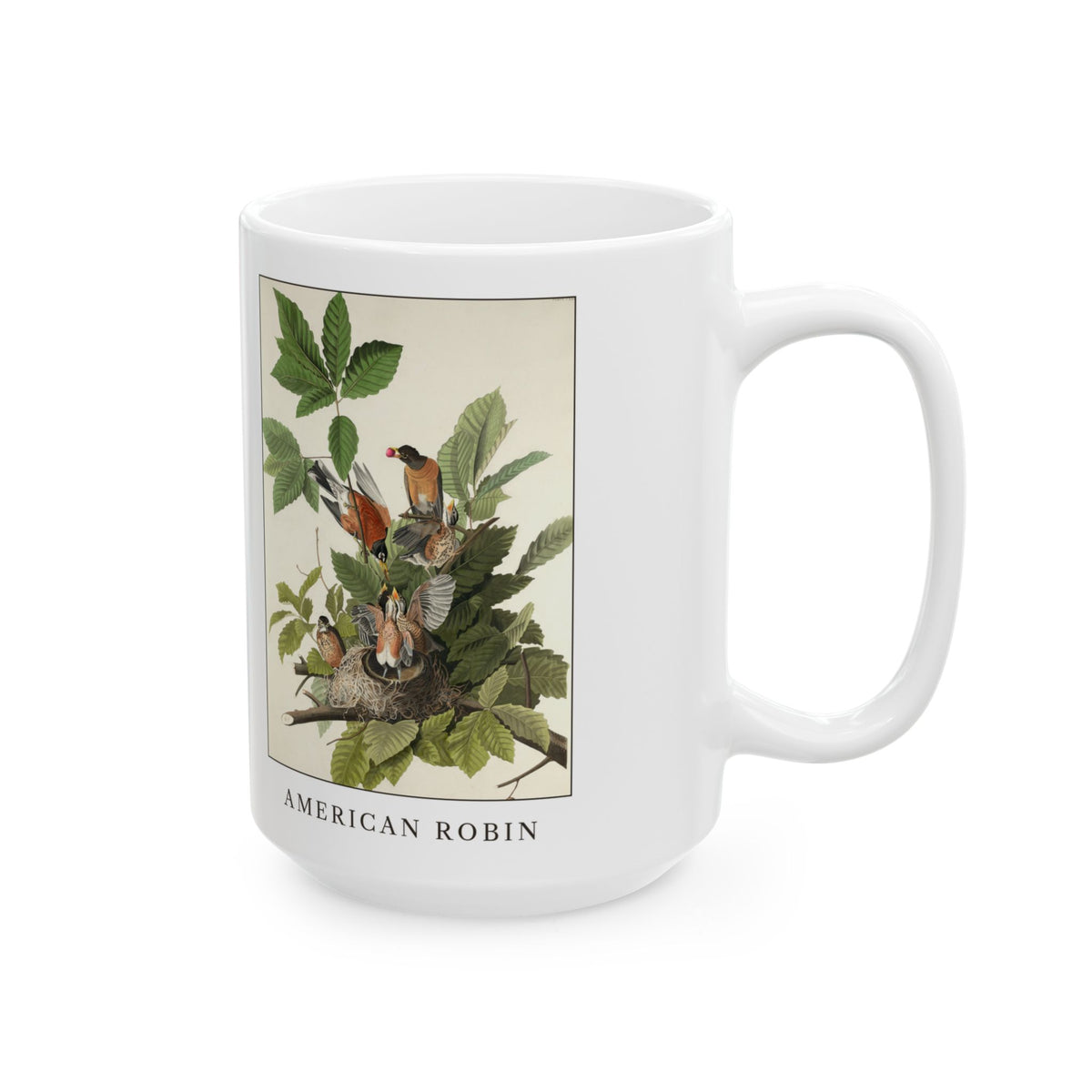 American Robin vintage bird mug, 15oz white, right side view with the handle on the right