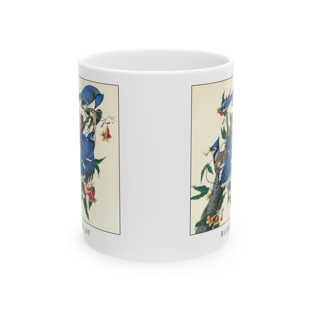 Blue Jay vintage bird mug, 11oz white, front view showing both sides of the print