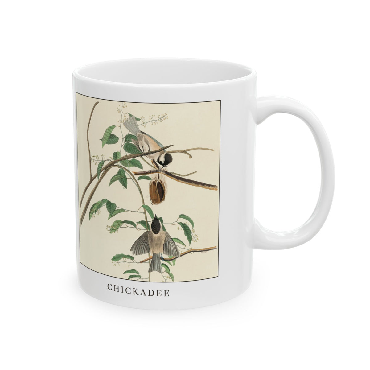 Chickadee vintage bird mug, 11oz white, right side view with the handle on the right