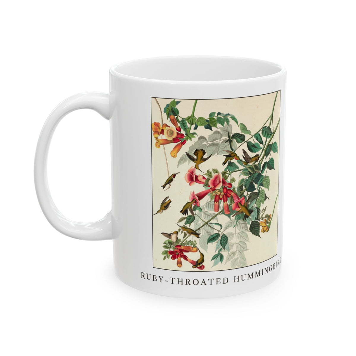 Ruby-throated Hummingbird vintage bird mug, 11oz white, left side view with the handle on the left