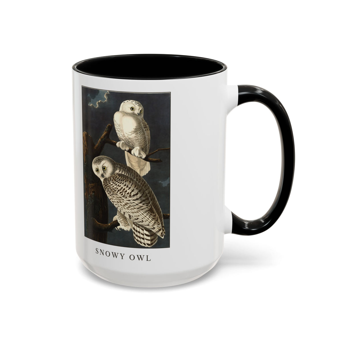 Snowy Owl vintage bird mug, 15oz white with black inside and handle, right side view with the handle on the right