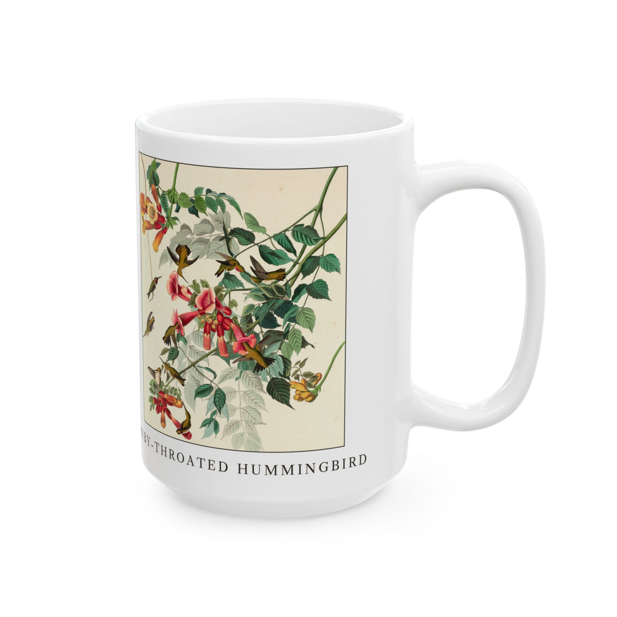 Ruby-throated Hummingbird vintage bird mug, 15oz white, right side view with the handle on the right