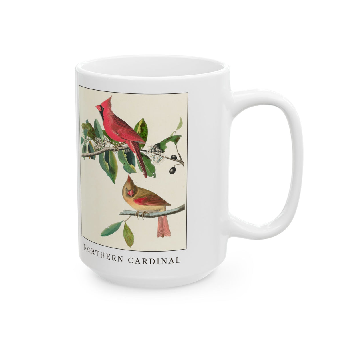 Northern Cardinal vintage bird mug, 15oz white, right side view with the handle on the right