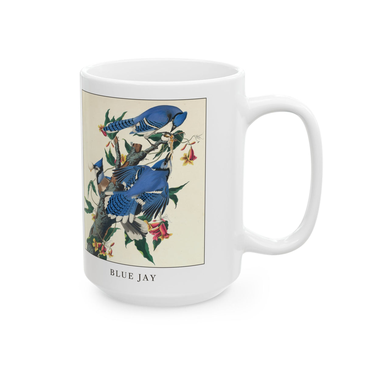 Blue Jay vintage bird mug, 15oz white, right side view with the handle on the right