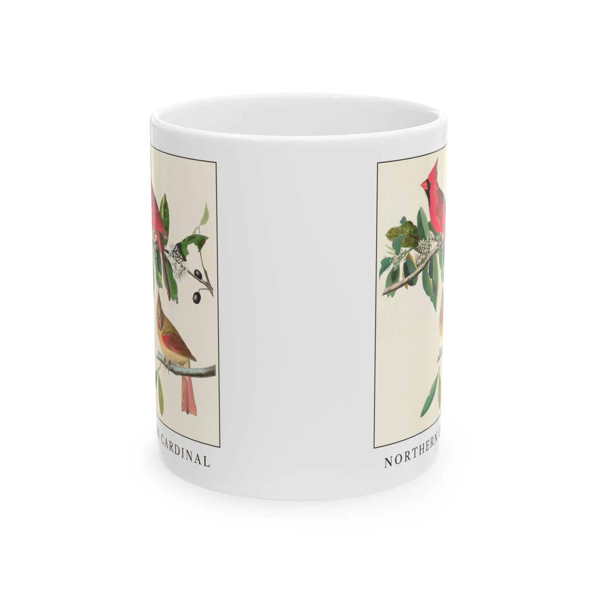 Northern Cardinal vintage bird mug, 11oz white, front view showing both sides of the print