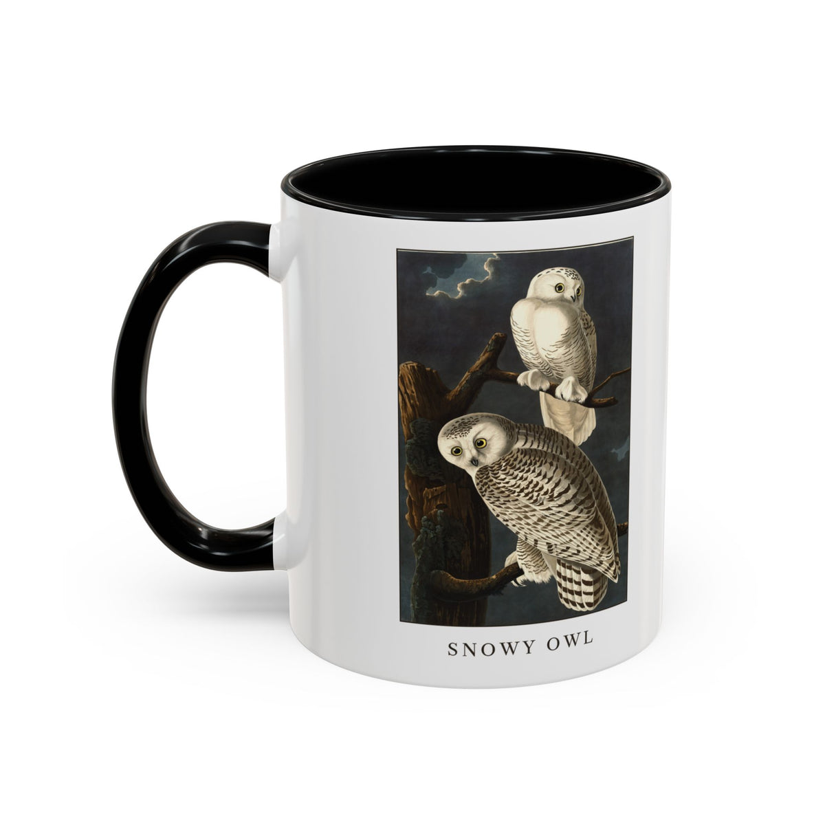 Snowy Owl vintage bird mug, 11oz white with black inside and handle, left side view with the handle on the left