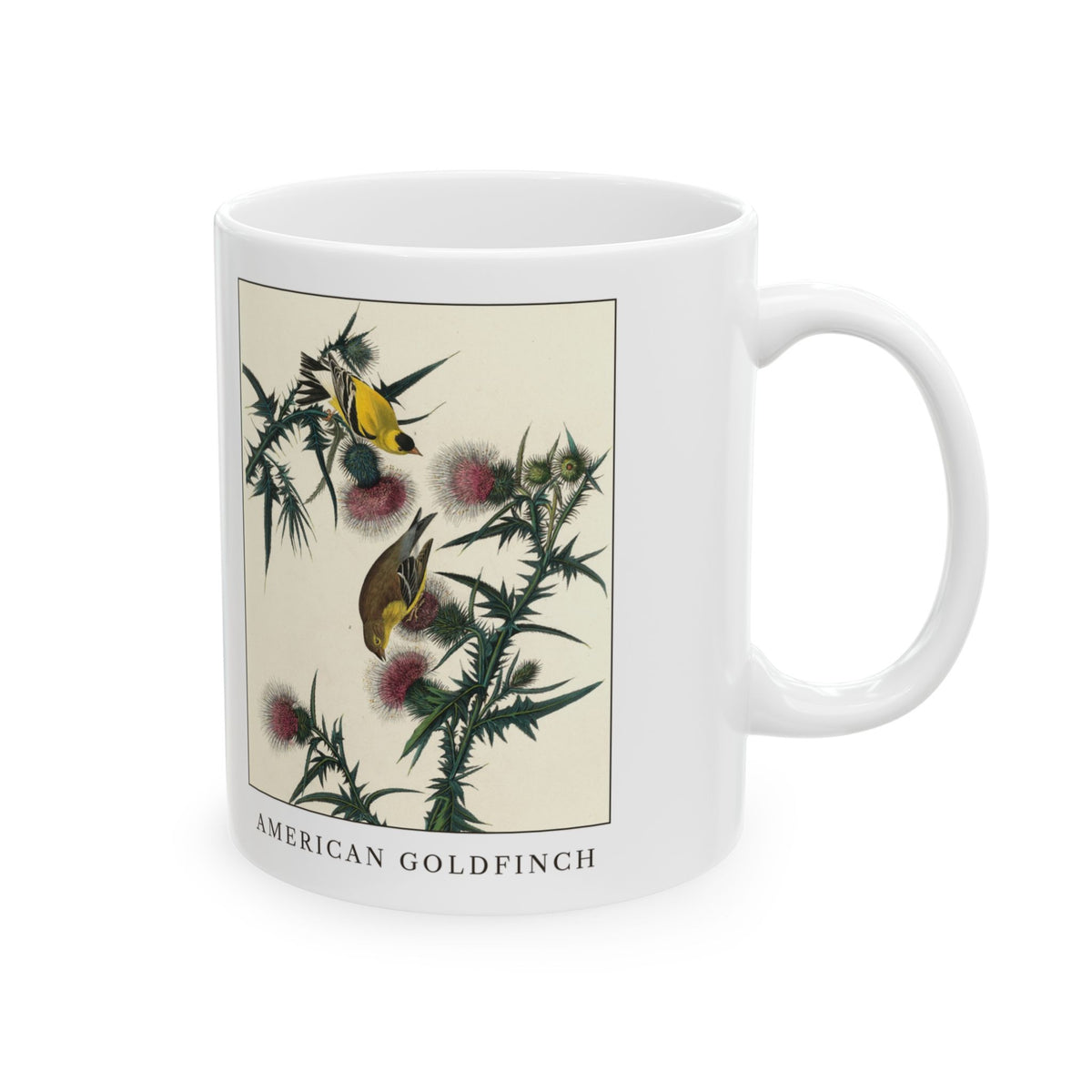 American Goldfinch vintage bird mug, 11oz white, right side view with the handle on the right