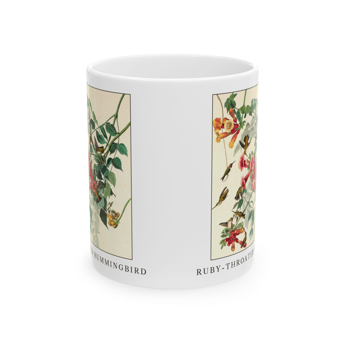 Ruby-throated Hummingbird vintage bird mug, 11oz white, front view showing both sides of the print