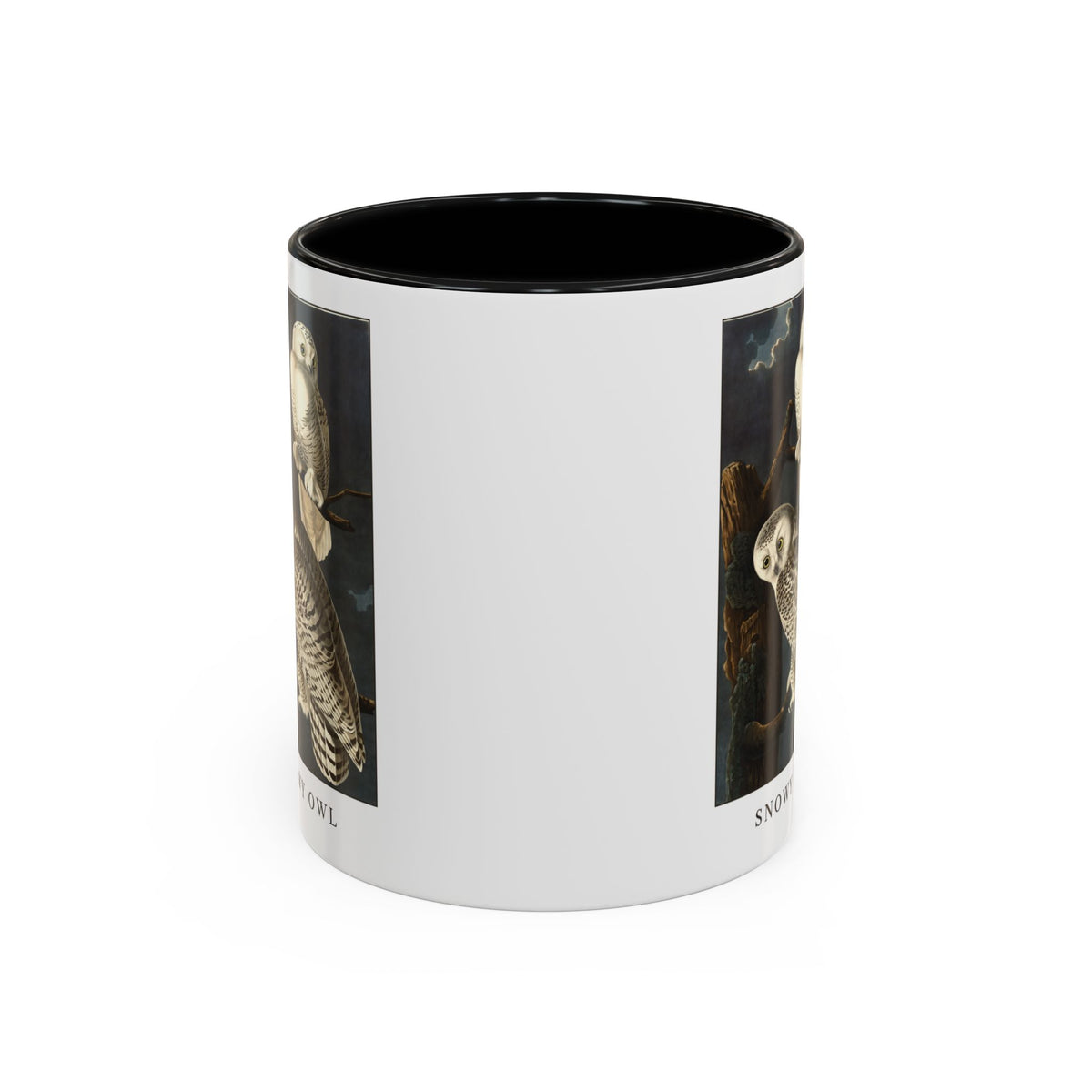 Snowy Owl vintage bird mug, 11oz white with black inside and handle, front view showing both sides of the print