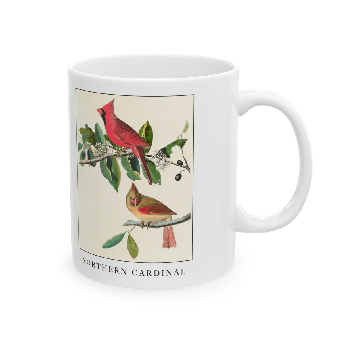 Northern Cardinal vintage bird mug, 11oz white, right side view with the handle on the right